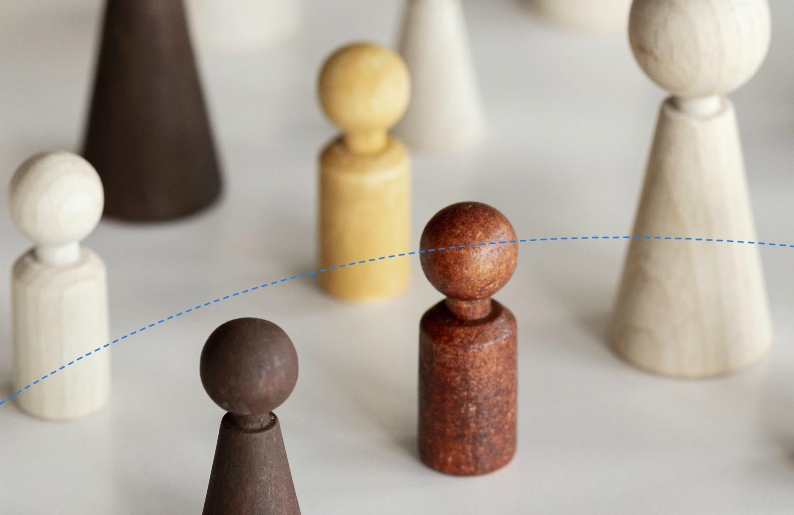 HACIA UNA GESTIÓN INCLUSIVA DE LA DIVERSIDAD EN INSTITUCIONES PÚBLICAS 